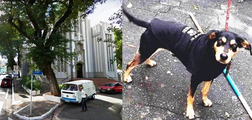 Protesto Hoje Contra Cachorro Morto no Estacionamento da Igreja São Rafael.