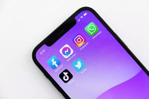 WHAT SOCIAL NETWORKS ARE IN EVIDENCE TODAY? WHAT SOCIAL NETWORKS ARE IN EVIDENCE TODAY?