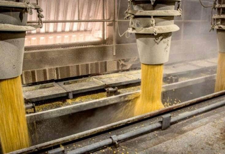 Margem de esmagamento da soja em Mato Grosso sobe 10,55% com impulso do óleo e queda no grão