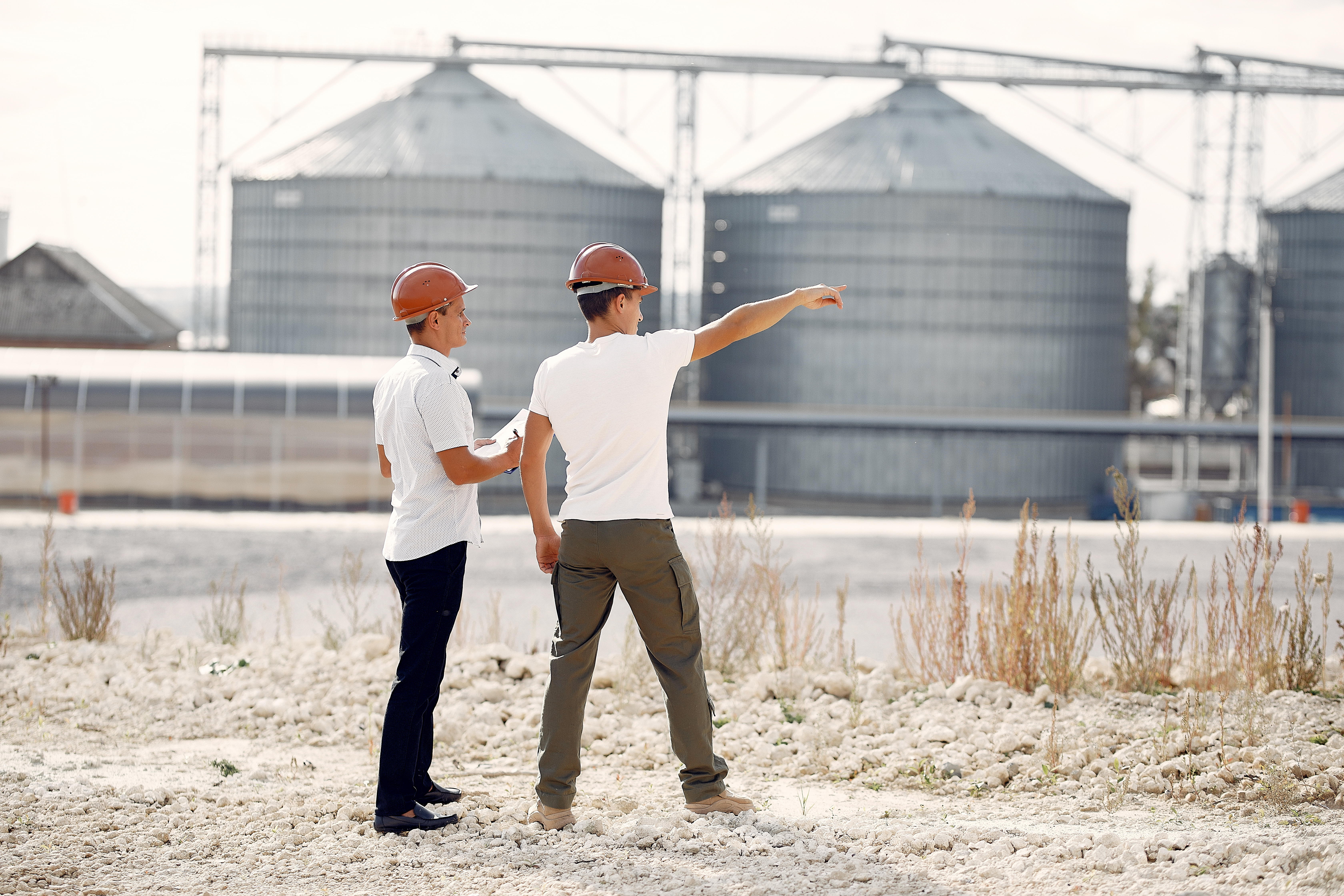 O mercado de trabalho da soja e do biodiesel está mudando