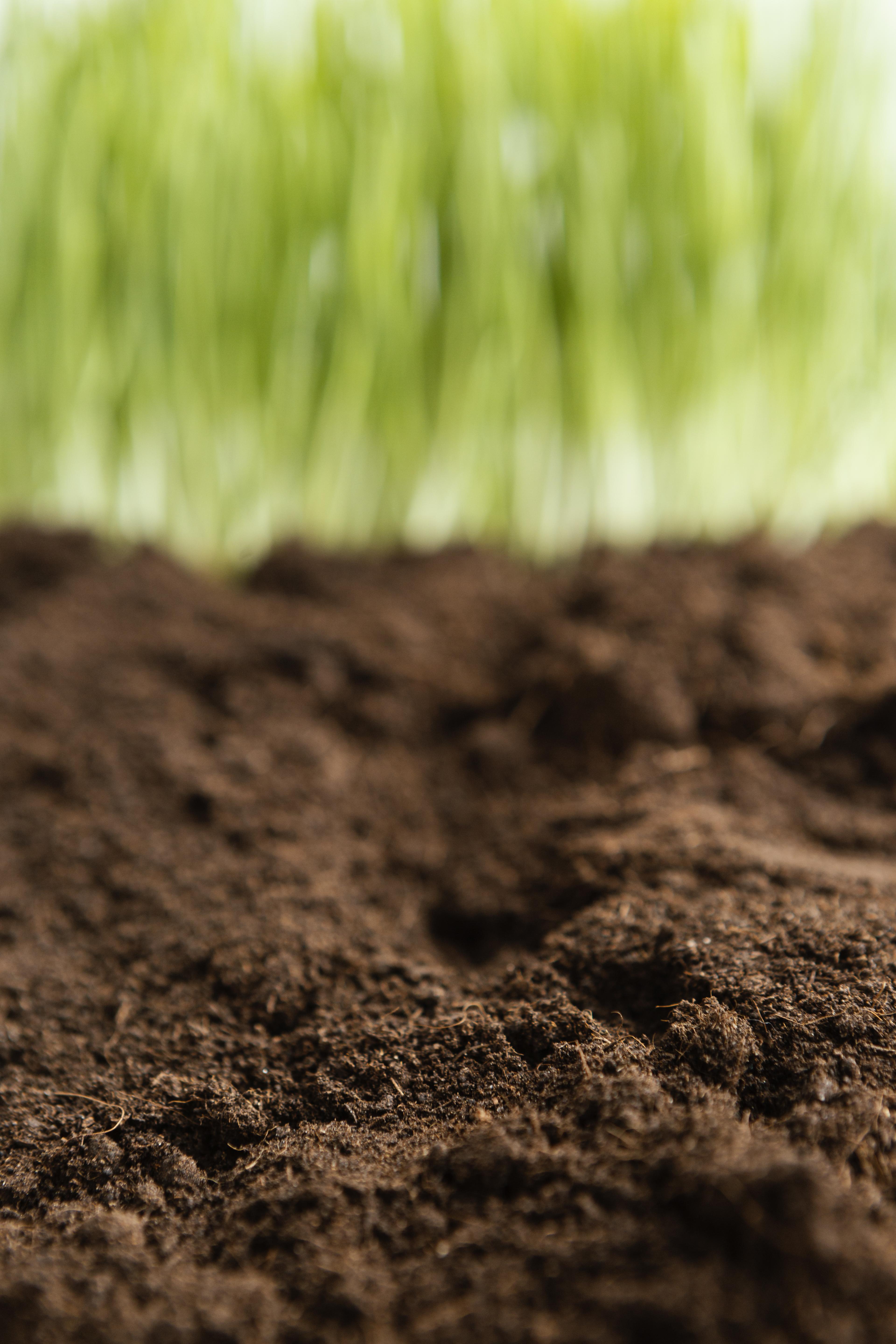 Agricultura regenerativa: conceito é pouco conhecido entre os produtores, embora práticas já sejam adotadas